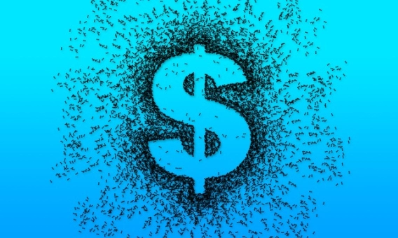 超级详细！恒指直播室喊单（金融投资的新趋势与风险解析）_http://wggaco.cn_期货热点_第1张